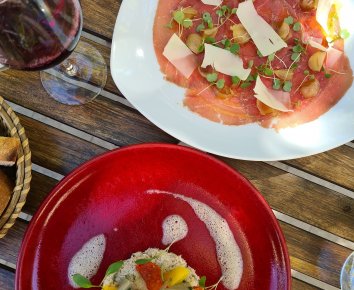 Repas à la Terrasse du Mimosa à Montpeyroux