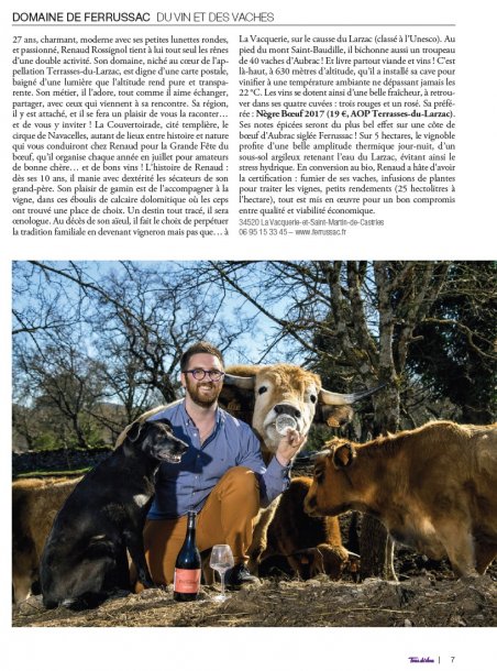 Interview Renaud Rossignol dans Terre de Vins - Dossier spécial Languedoc, Coeur d'Hérault