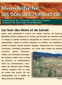 Les bois des Homs et de Latude - Saint-Jean-de-la-Blaquière