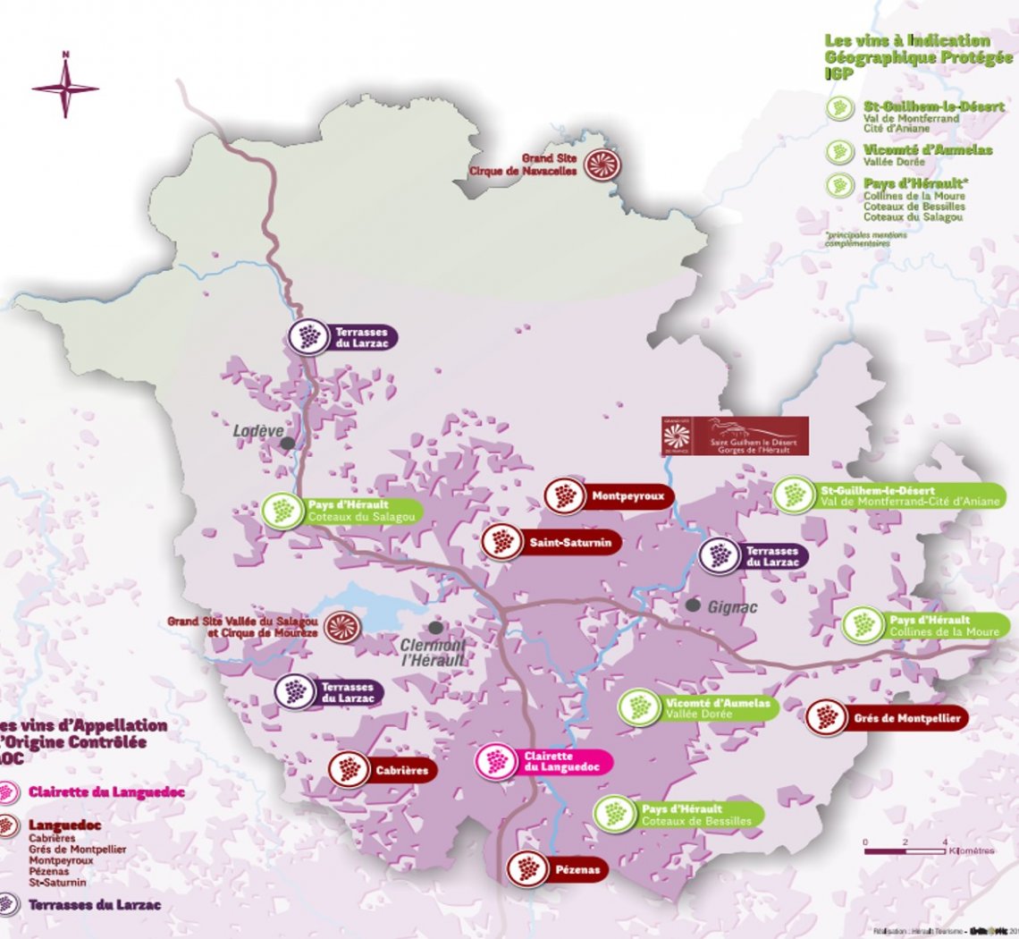 Carte viticole