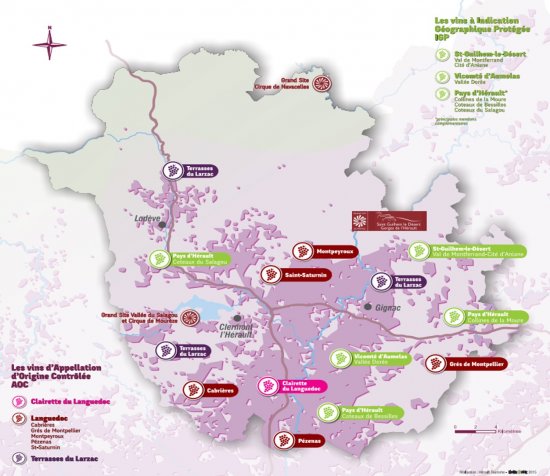 Carte viticole