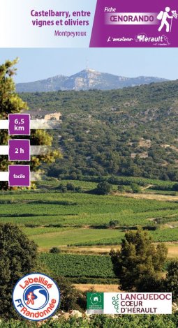 Castelbarry, entre vignes et oliviers - Montpeyroux