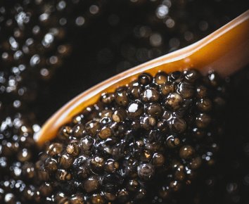 Caviar Chateau Castillonne