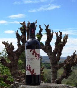 100% Mourvèdre, Mas d'Agamas à l'Agamas