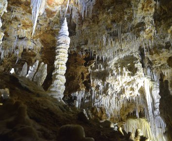 Grotte de Clamouse à Saint-Jean-de-Fos, concrétions