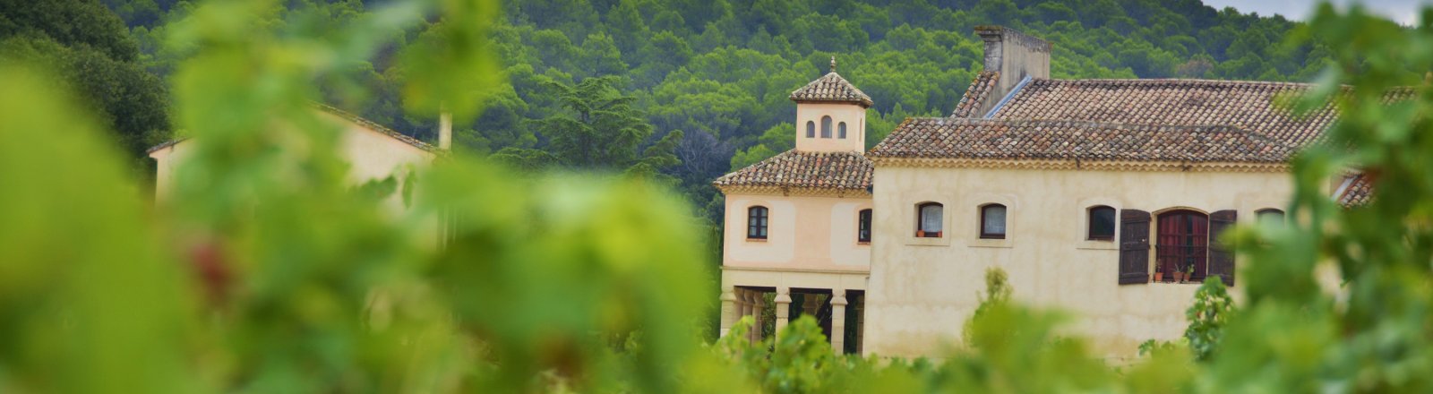 Terrasses du Larzac - Château Capion © Olivier Diaz de Zarate