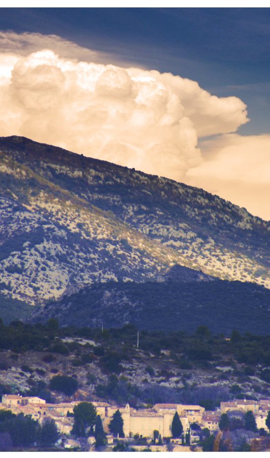 Terrasses du Larzac