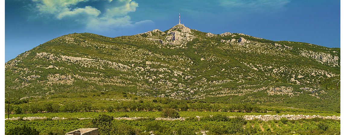 Terrassse du Larzac 