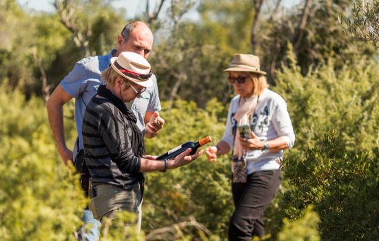 Les évènement vignerons en Languedoc, Coeur d'Hérault
