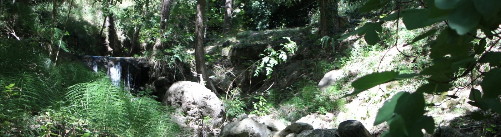 GITE MIMOSA © 