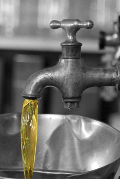 Huile d'olive bio – produits régionaux Sud de France
