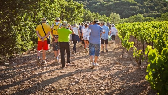 LA CIRCULADE EN TERRASSES DU LARZAC
