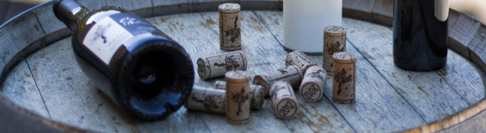 LE CLOS DE L'AMANDAIE © Sud de France Développement