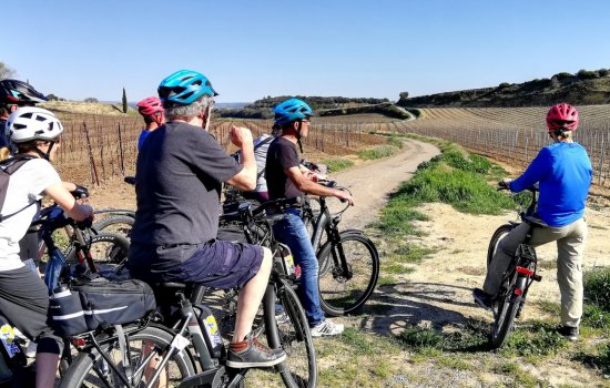 Goût de France en Languedoc, Coeur d'Hérault : Balade vélo électrique dans le vignoble © Ozone VTT Cycles Goût de France en Languedoc, Coeur d'Hérault : Balade vélo électrique dans le vignoble