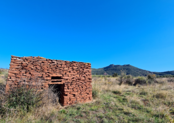 Cabane en pierre sèche à la Capitelle des Salles