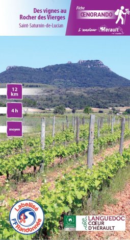 Des vignes au Rocher des Vierges - Saint Saturnin de Lucian