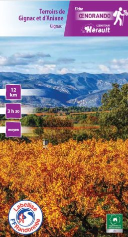 Terroirs de Gignac et d'Aniane
