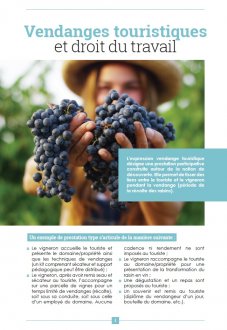 Vendanges touristiques et droit du travail