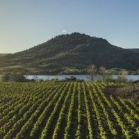 Dossier de renouvellement au label Vignobles & Découvertes 2025 