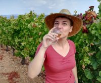 Déguster les vins du Coeur d'Hérault