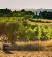 APERO GARRIGUE