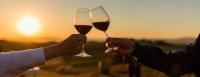 APÉRO GARRIGUE AU COUCHER DE SOLEIL AU DOMAINE DE PÉLICAN