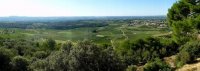 BALADES ET DÉGUSTATION AUTOUR DE L’APPELLATION MONTPEYROUX AVEC CASTELBARRY