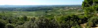BALADES ET DÉGUSTATION AUTOUR DE L’APPELLATION MONTPEYROUX AVEC CASTELBARRY