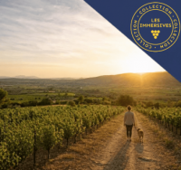 Vignobles en Sc&egrave;ne 2026 ! Canimarche