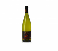 Cuvée du mois de novembre : Cantagrive, cuvée Elise 2019