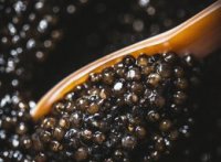 Caviar Chateau Castillonne