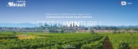 Site Oenotour de l’Hérault, 34, tourisme et vin au cœur du Languedoc-Rossillon