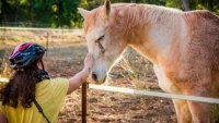 Équitation, Languedoc Coeur d'Hérault, sport et nature