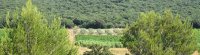 CLOS CONSTANTIN