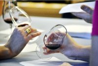 Dégustation de vin rouge – les cépages du Languedoc
