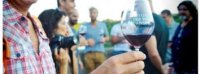 Dégustation de vin rouge du Midi – Languedoc Cœur d’Hérault