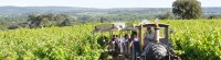 Domaine Alexandrin 1