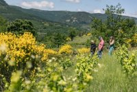 Domaine de Ferrussac 