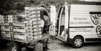 DOMAINE DE LA DOURBIE
