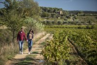 Domaine de Rieussec FWE2023 