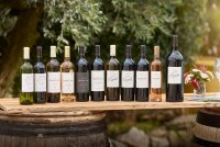 Domaine Joly-Vins