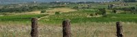 Domaine de Pélican