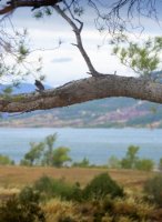 Lac du Salagou dans l’Hérault – oenotourisme en Languedoc sans voiture