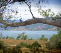 Lac du Salagou dans l’Hérault – oenotourisme en Languedoc sans voiture