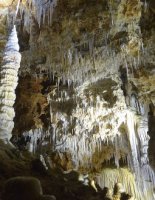 Grotte de Clamouse à Saint-Jean-de-Fos, concrétions