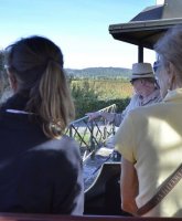 Le Patit Train des Vignes du Domaine Alexandrin