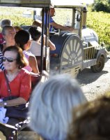 Le Petit Train des Vignes du Domaine Alexandrin