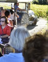 Le Petit Train des Vignes du Domaine Alexandrin