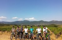 Vignes à vélo