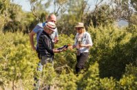 Les évènement vignerons en Languedoc, Coeur d'Hérault